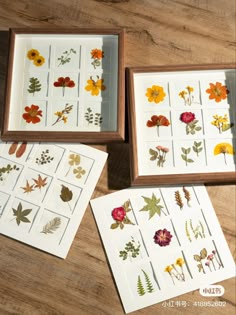 four framed pressed flowers are sitting on the floor next to each other, and one is in an open box