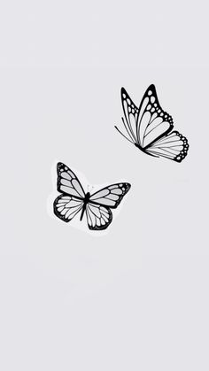 two butterflies flying side by side in the sky