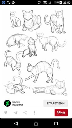 an app showing how to draw cats with different poses and body shapes on the screen