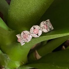 two pink diamond rings sitting on top of a green plant