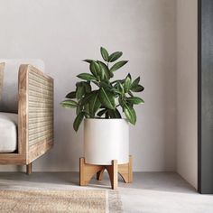 a potted plant sitting on top of a wooden stand next to a couch and rug