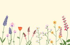 an image of flowers and plants on a beige background