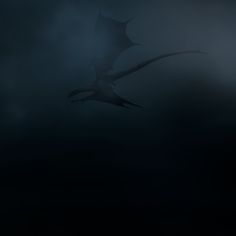 a black and white photo of a dragon flying in the dark sky with clouds behind it