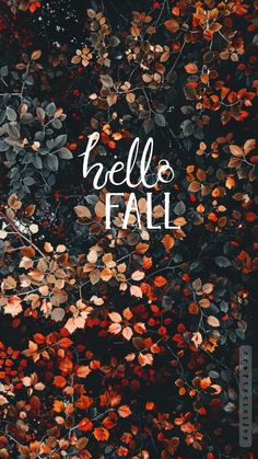 the words hello fall are written in white on a black background with red and green leaves