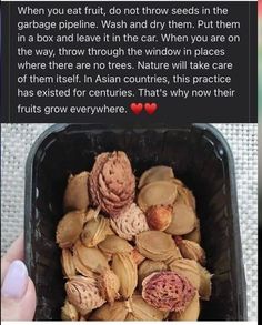 someone is holding up a bowl full of dried flowers and the caption reads, when you eat fruit, do not throw seeds in them