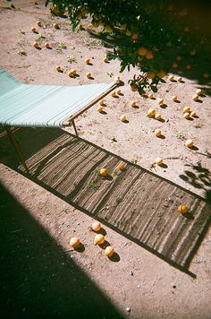 there are many small oranges on the ground next to a blue table and chair