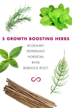 Hairfnity natural hair growth vitamins tip of the day: 5 growth boosting herbs for fabulous hair! http://hairfinity.com Hair Growth Per Month, Hair Growth Tablets, Hair Growth Pills, Hair Growth Vitamins, Vitamins For Healthy Hair, Grow Thicker Hair, Straightening Natural Hair, Hair Growth Secrets, Vitamins For Hair Growth