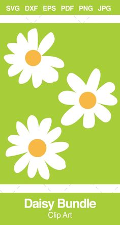 daisies are arranged on a green background with the words daisy bundle clip art in white