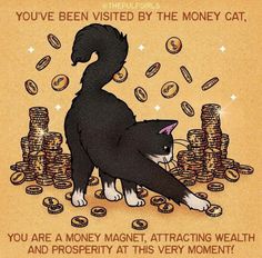 a black and white cat sitting on top of stacks of coins with the caption you've been visited by the money cat