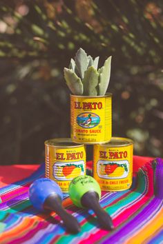 three cans of paint sitting on top of a table next to an aloena plant