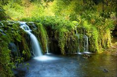 a small waterfall surrounded by lush green foliage