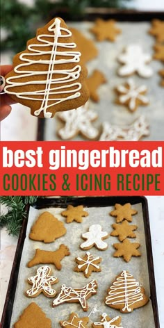 the best gingerbread cookies and icing recipe for christmas or new year's eve