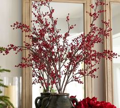 a vase filled with red flowers next to a mirror