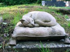 a cat statue laying on top of a grave