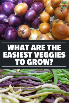 an assortment of vegetables with the words what are the earliest veggies to grow?