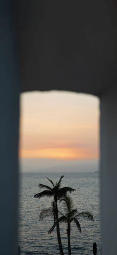 palm trees are silhouetted against the sunset over the ocean as seen through a window