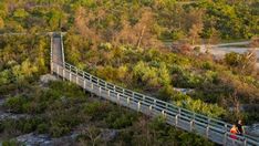 two people walking down a wooden walkway in the woods with trees and bushes around them