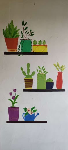 three shelves with potted plants on them