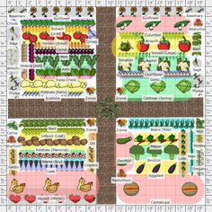 four different pictures of vegetables and fruits on the same page, each with their own name