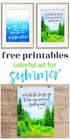 three framed pictures with the words free printables for summer on them and an image of