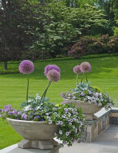 three planters with purple flowers in them sitting on the side of a stone wall