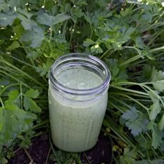 a jar filled with green liquid sitting on the ground next to some leaves and plants