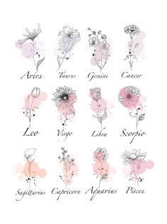 an image of flowers with names in spanish