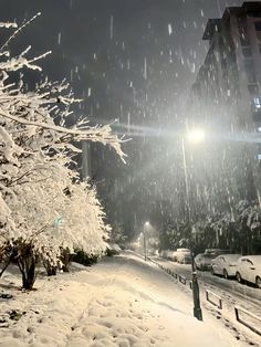 a snowy street at night with cars parked on the side and trees covered in snow