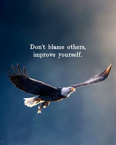 an eagle flying through the air with a quote above it that says, don't blame others, improve yourself