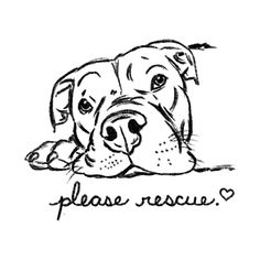 a black and white drawing of a dog with the words please rescue