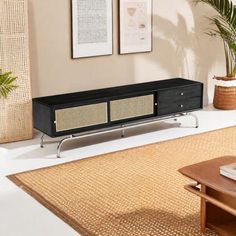 a living room scene with focus on the entertainment center and plants in vases against the wall