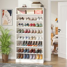 a white shelf filled with lots of pairs of shoes next to a potted plant