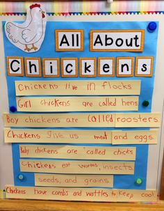 a bulletin board with words and pictures on it that say all about chickens in different languages