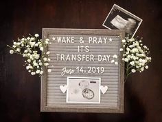 Embryo Transfer Announcement, Surrogate Announcement Photo Ideas, Gifts For Intended Parents Surrogacy, Iui Pregnancy Announcement