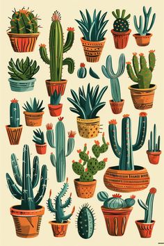 a bunch of different kinds of cactus in pots