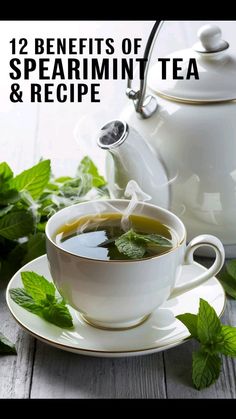 a cup of green tea next to a white teapot with the words 12 benefits of spearmint and recipe