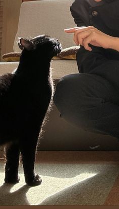 a woman sitting on the floor with a black cat and pointing at it's tail