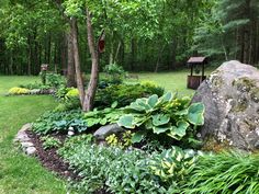 a lush green garden with large rocks and trees