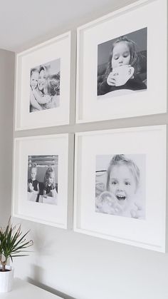 four black and white photos hang on the wall above a table with a potted plant