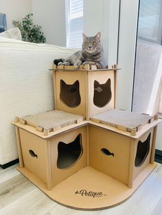 a cat laying on top of three cardboard boxes