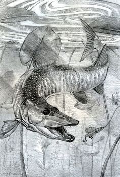 a drawing of two fish in the water