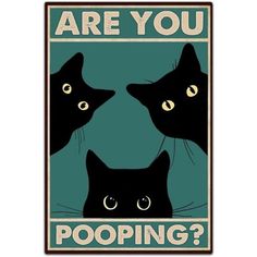 two black cats are looking at each other with the words are you pooping?