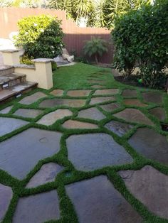 a stone walkway with grass growing on it