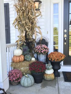 a front porch with pumpkins and gourds on the steps, including corn stalks