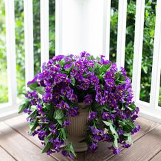 a potted plant with purple flowers sitting on a porch