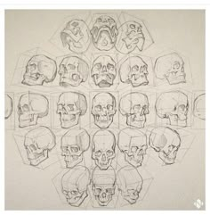 a bunch of skulls that are drawn in pencil on paper with different shapes and sizes