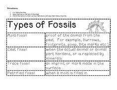 the types of fossils worksheet is shown in black and white with text