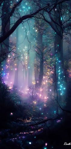 a forest filled with lots of trees covered in fireflies and stars, surrounded by fog