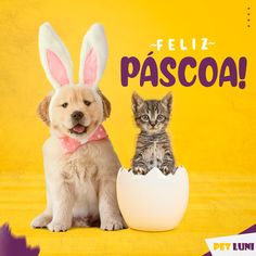 two dogs and a cat sitting next to each other in front of an egg with the words feliz pascoa written on it