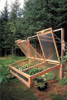 an open wooden box filled with plants in the middle of some grass and trees behind it